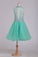 Homecoming Dresses High Neck A Line Short/Mini Beaded Bodice Tulle Open Back
