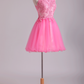 2024 Lovely Homecoming Dresses Scoop A Line Short Tulle With Applique