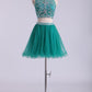 Halter Homecoming Dresses Two-Piece Short Beaded Bodice Tulle