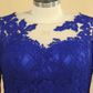 Plus Size Mother Of The Bride Dresses Scoop 3/4 Length Sleeve Lace With Applique Dark Royal Blue