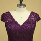 2024 Plus Size Grape Modest Lace Evening Dresses V-Neck Sheath/Column With Applique And Ribbon