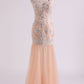 Classic Prom Dresses V Neck Mermaid/Trumpet Floor Length Tulle Champagne With Applique & Beads