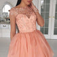 Long Sleeves Homecoming Dresses Scoop Chiffon With Applique Short/Mini