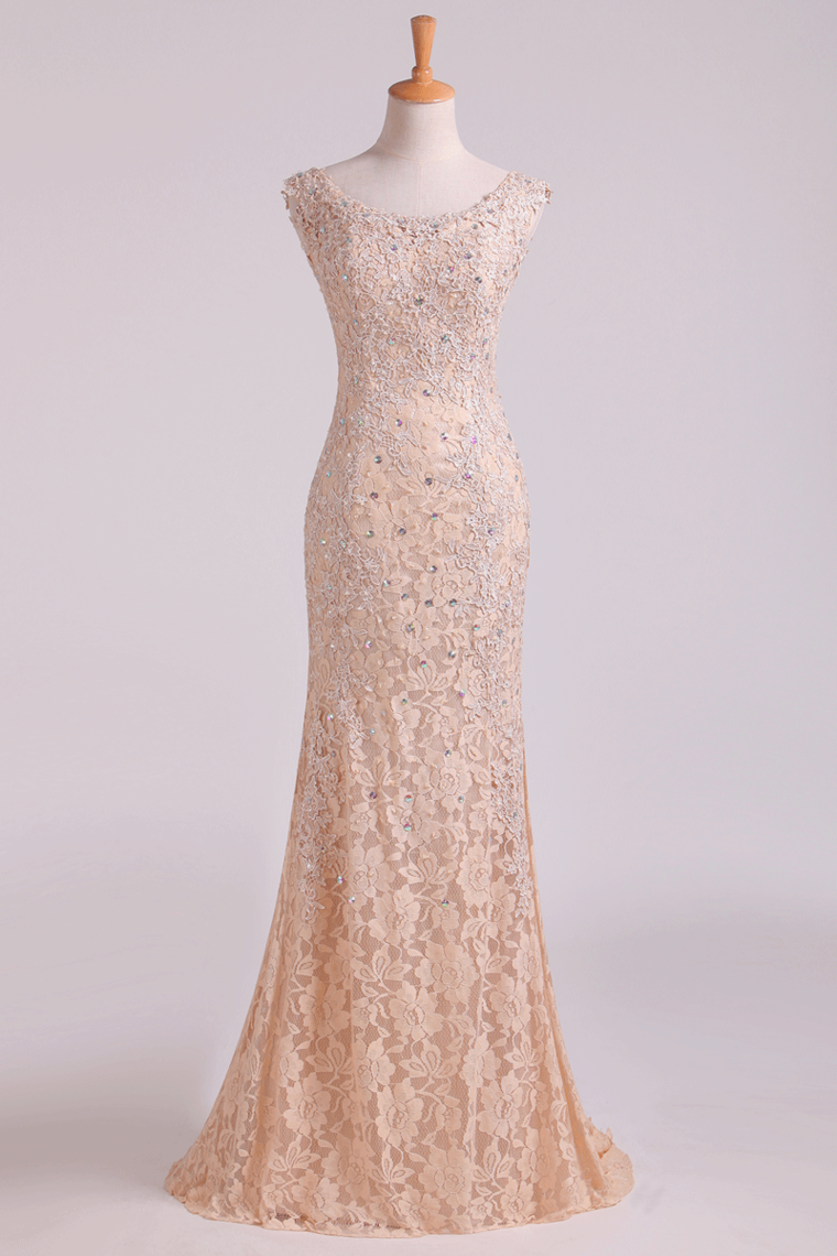 New Arrival Off The Shoulder Evening Dresses Lace With Applique & Beads