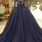 Evening Dresses A-Line V-Neck Long Sleeves Tulle Sweep/Brush With Zipper Ack