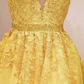 Cute Yellow Short Homecoming Dresses Lace Destiny Tulle Dresses CD2358