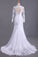 Long Sleeves V Neck  Open Back Wedding Dresses Tulle With Applique Sheath