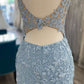 Cute Light Blue V Neck Lace Homecoming Dresses