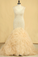 Mermaid Wedding Dresses V-Neck Tulle See-Through Back Chapel Train Plus Size