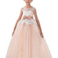Ball Gown Scoop Sleeveless Sash/Ribbon/Belt Tulle Floor-Length Flower Girl Dresses DEP0007744