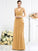 A-Line/Princess V-neck Pleats Sleeveless Long Chiffon Bridesmaid Dresses DEP0005367