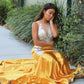Trumpet/Mermaid V-neck Velvet Lace Court Train Sleeveless Dresses DEP0004733
