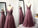 A-Line/Princess Sleeveless Tulle Floor-Length Applique V-neck Dresses DEP0004565